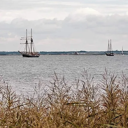 4 Person In Farso-by Traum