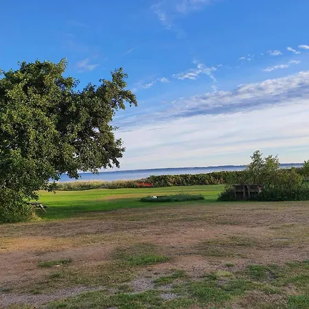 4 Person In Farso-by Traum