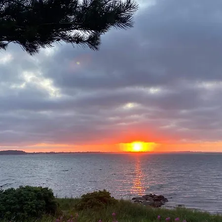 4 Person In Farso-by Traum *